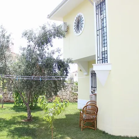 Daisy Villa Cedit